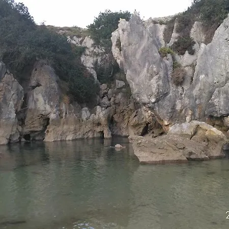 Naranjos *